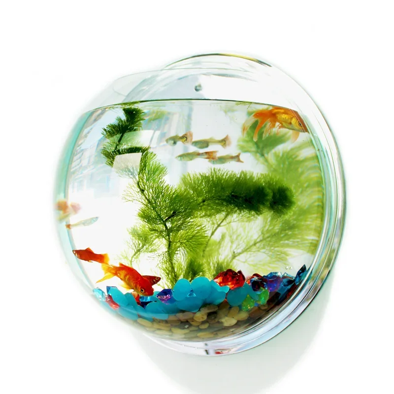Betta Fish Tank - Pinsjar Acrylic Cá Bát Treo Tường