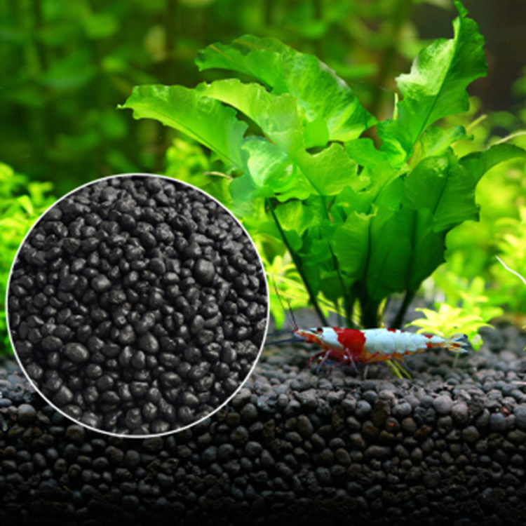 Fish Tank Gravel - Bể Cá Cảnh Vật Có Hạt