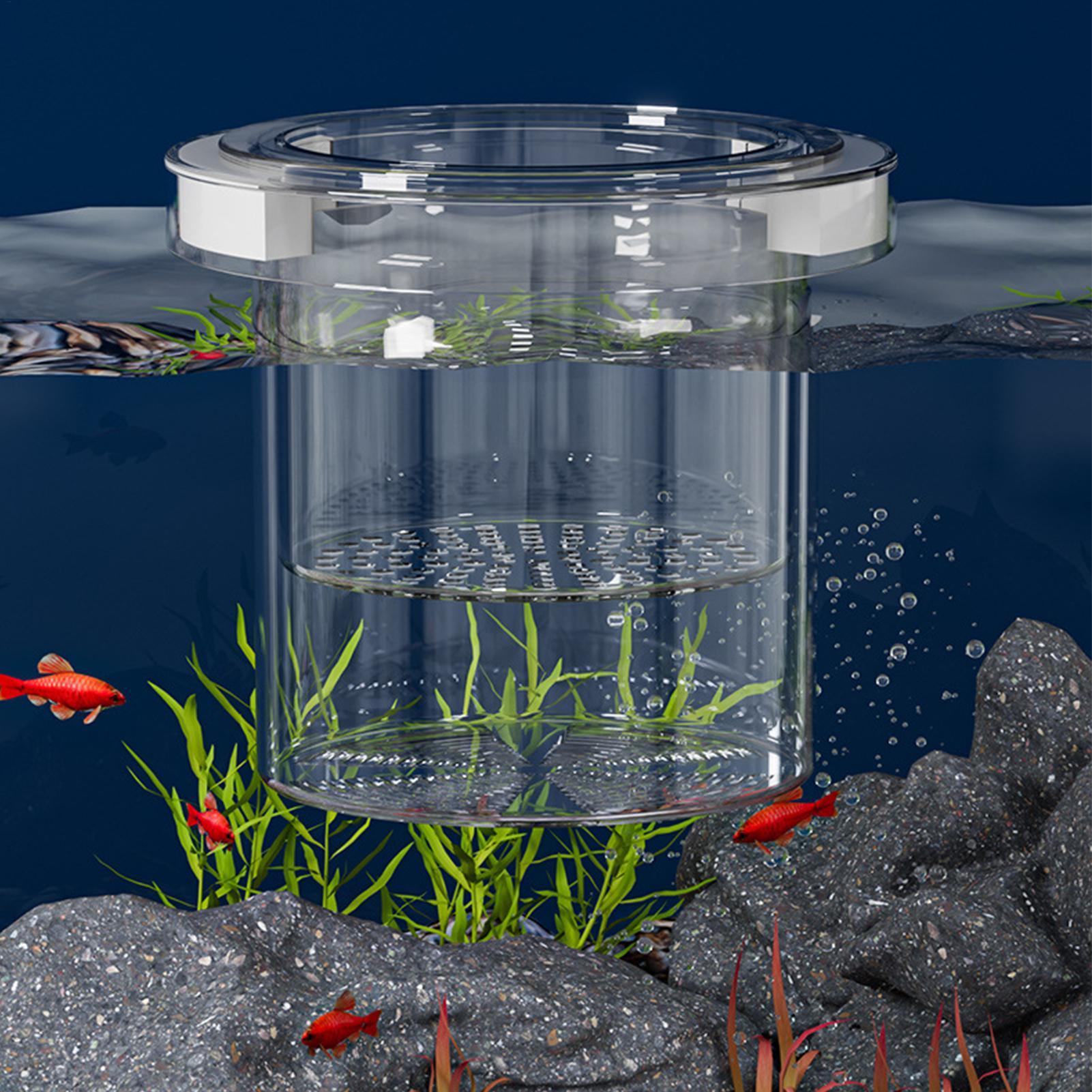 Floating Fish Breeding Isolati - đánh giá và giá Aquarium Fish Betta