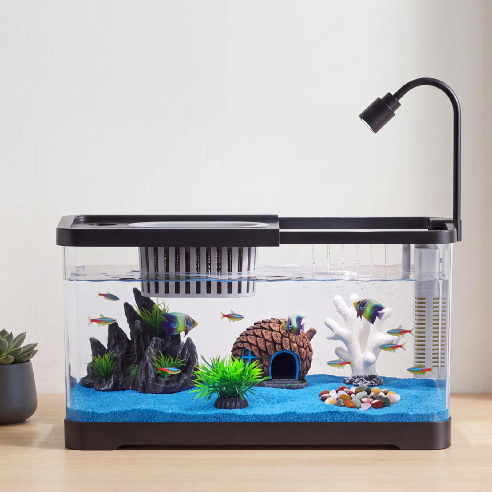 Fish Tank Starter Kit With Fil - đánh giá và giá Aquarium Fish Betta