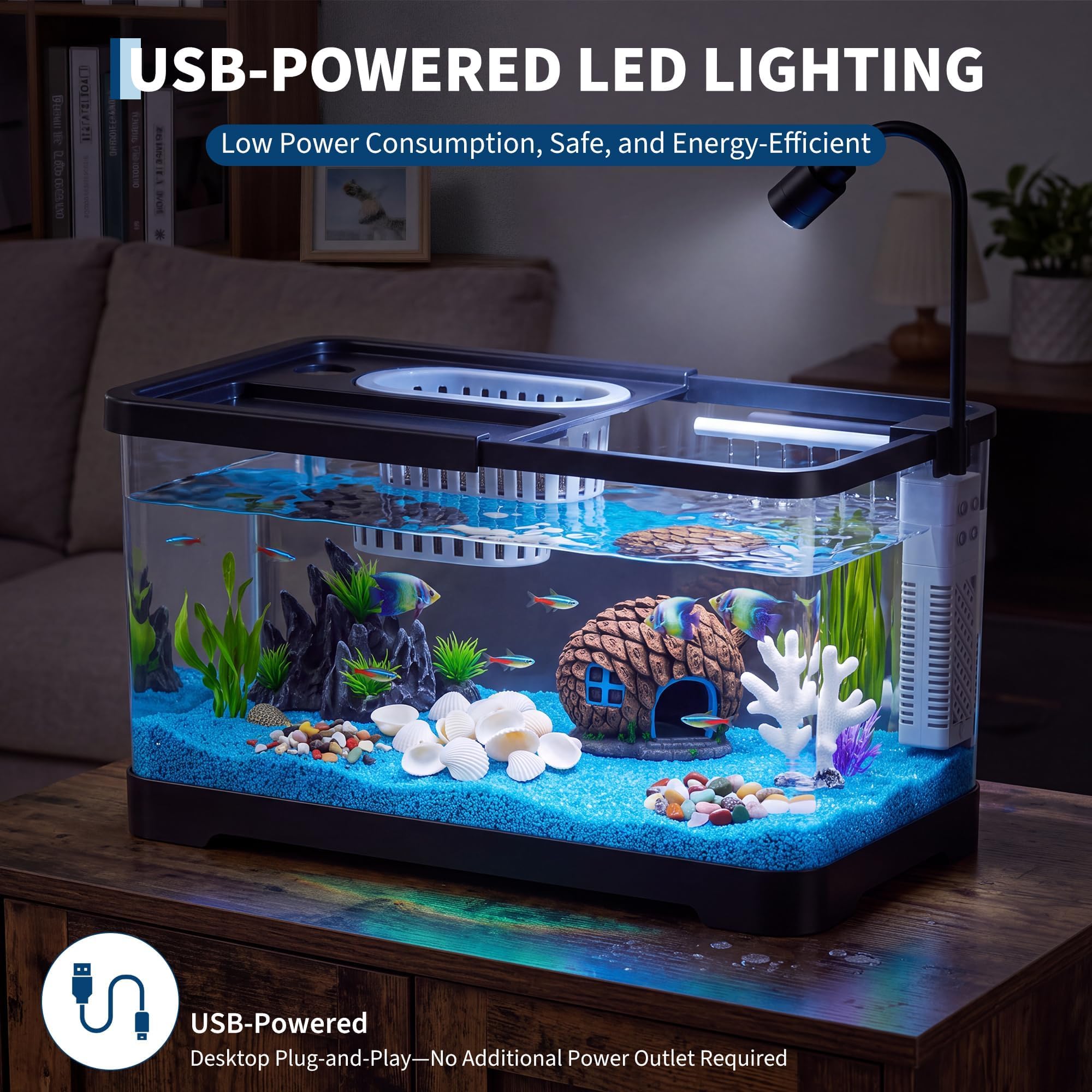 Fish Tank Starter Kit With Fil - đánh giá và giá Aquarium Fish Betta
