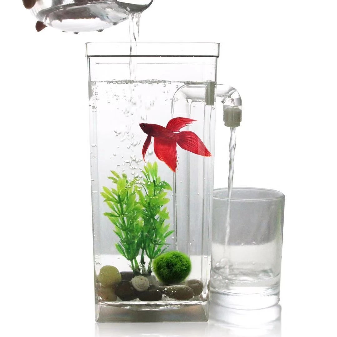 Lazy Free Water Change Desktop - đánh giá và giá Aquarium Fish Betta