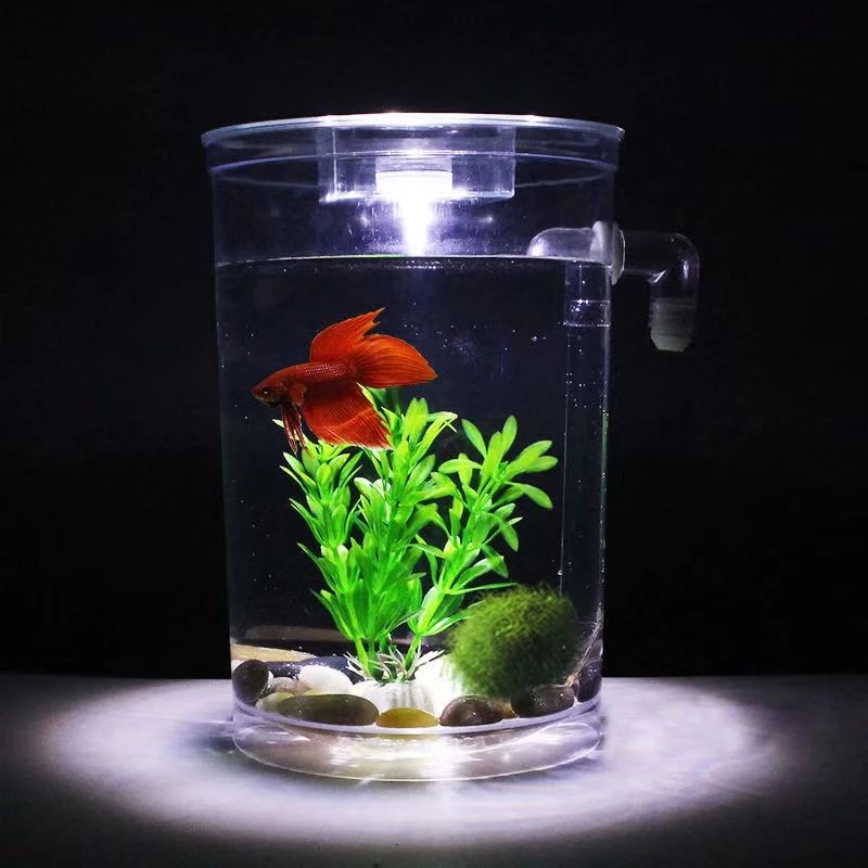 Lazy Free Water Change Desktop - đánh giá và giá Aquarium Fish Betta