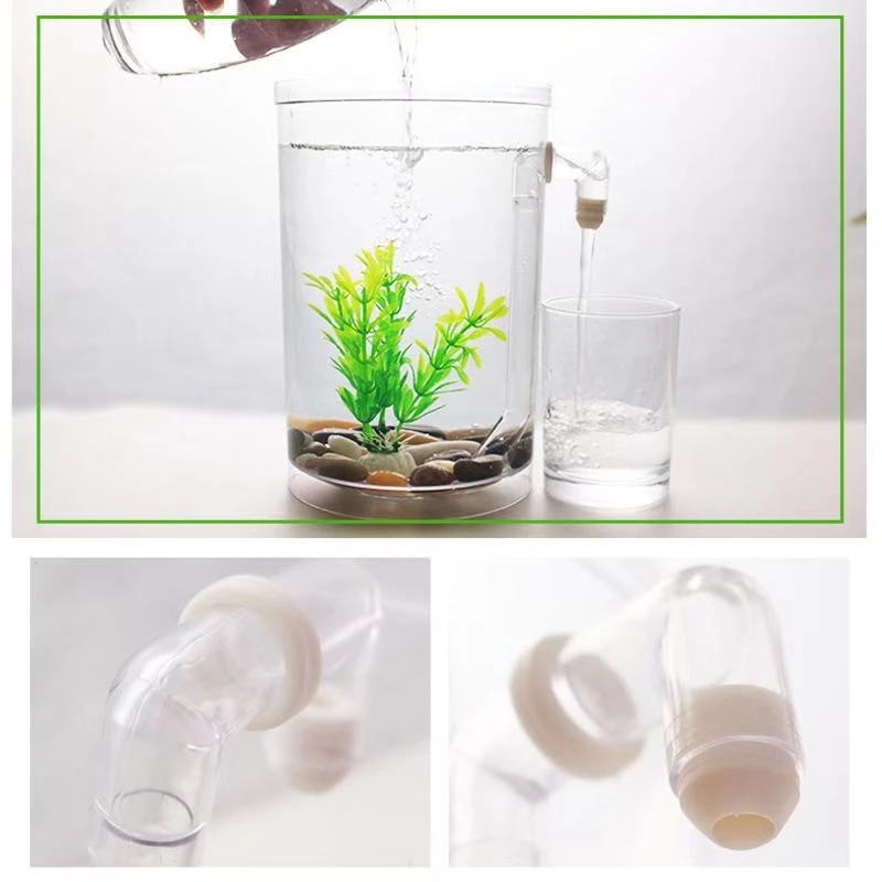 Lazy Free Water Change Desktop - đánh giá và giá Aquarium Fish Betta