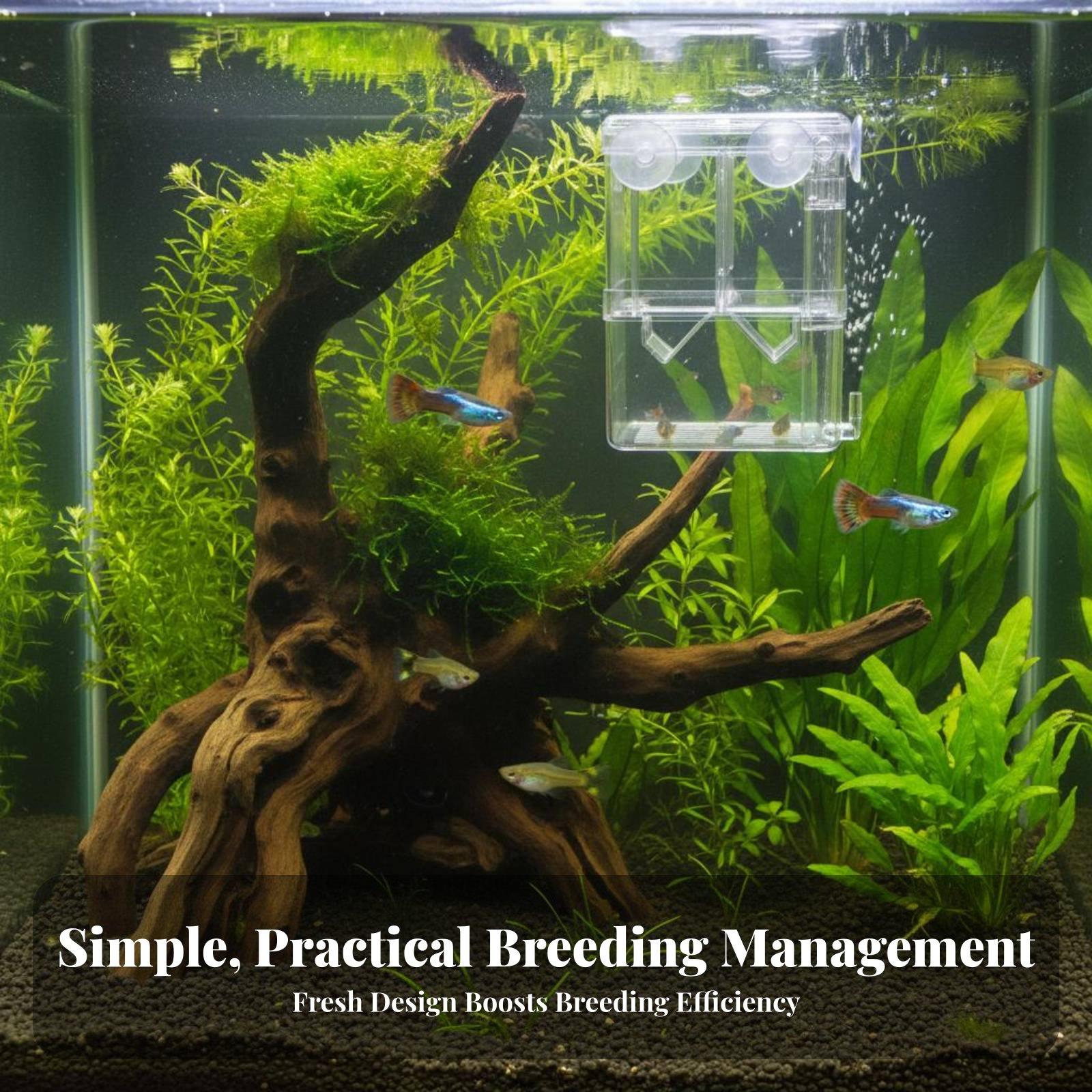 Double Layer Aquarium Breeding - đánh giá và giá Aquarium Fish Tank