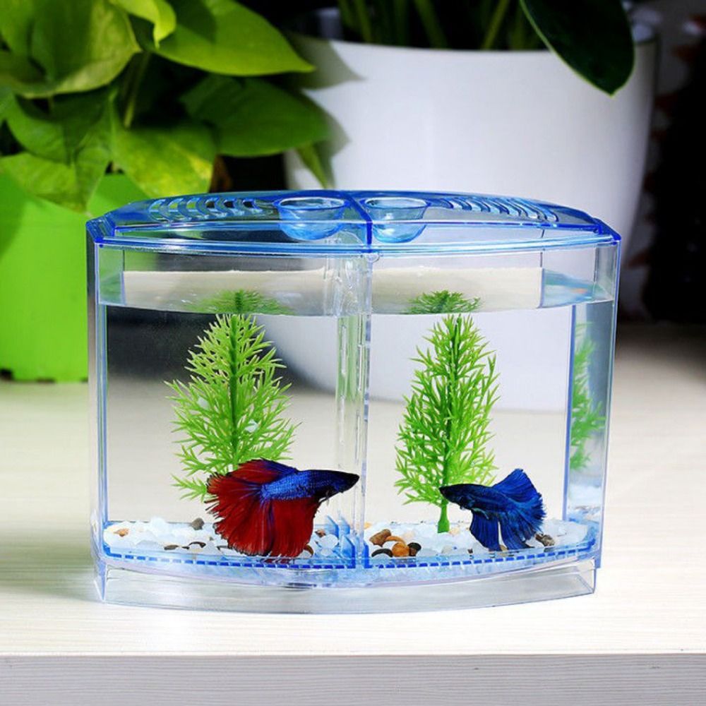 Transparent Betta Fish Tank, D - đánh giá và giá Aquarium Fish Betta
