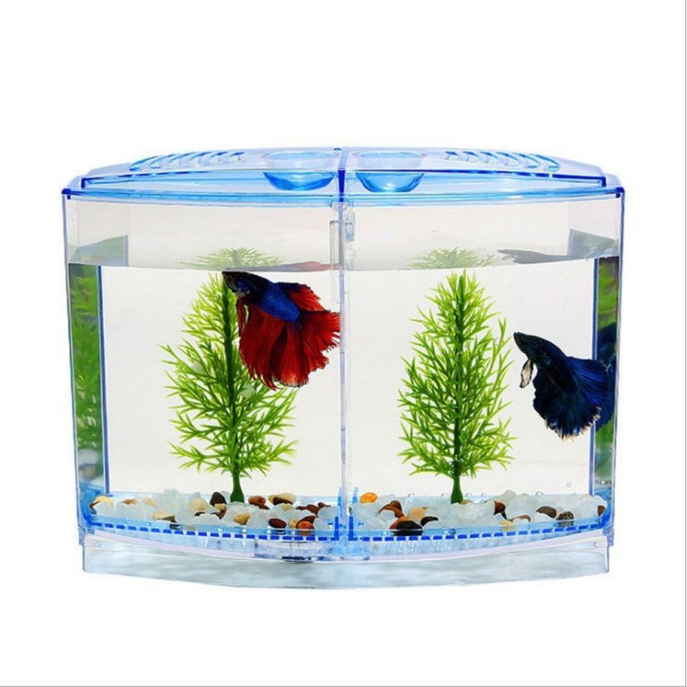 Transparent Betta Fish Tank, D - đánh giá và giá Aquarium Fish Betta
