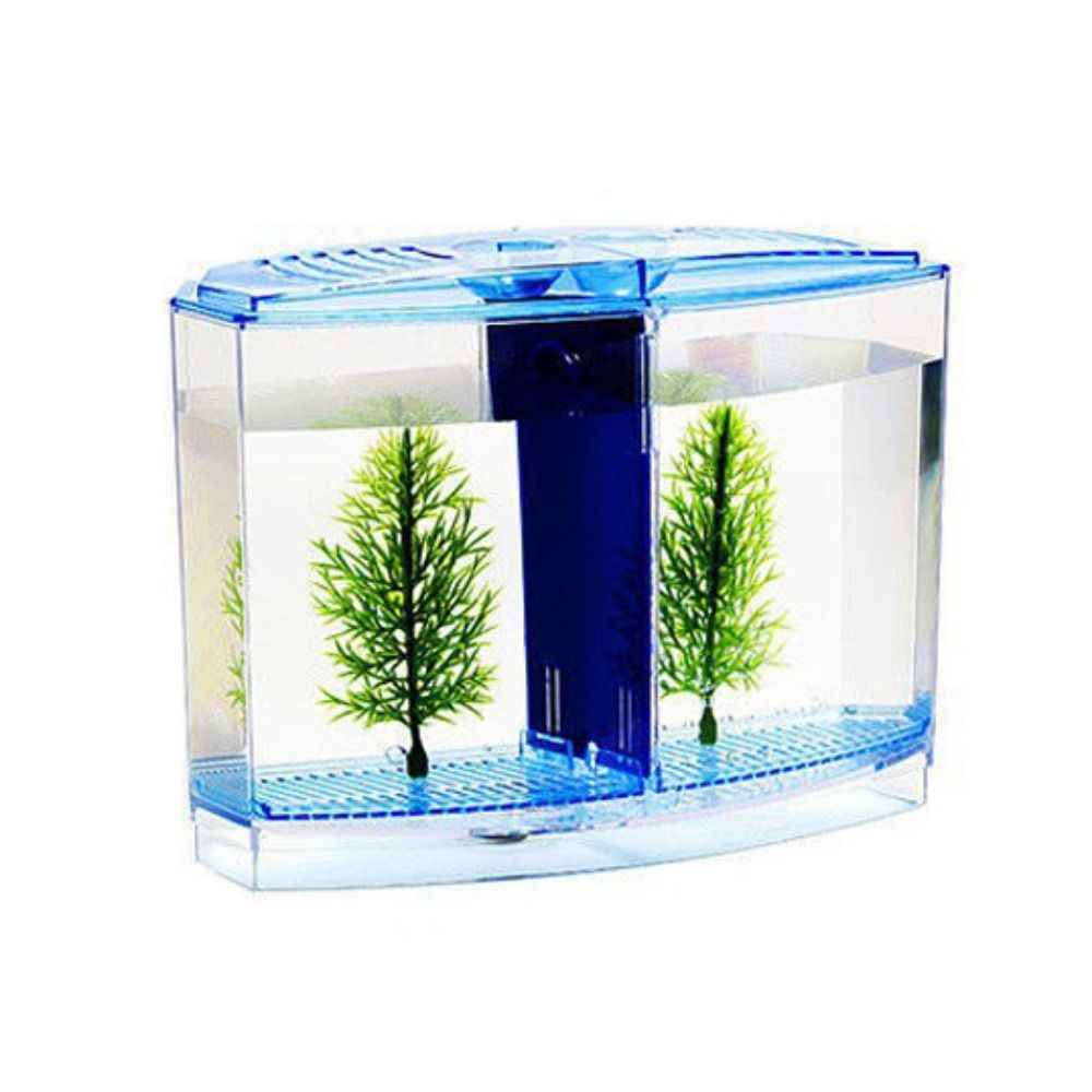 Transparent Betta Fish Tank, D - đánh giá và giá Aquarium Fish Betta
