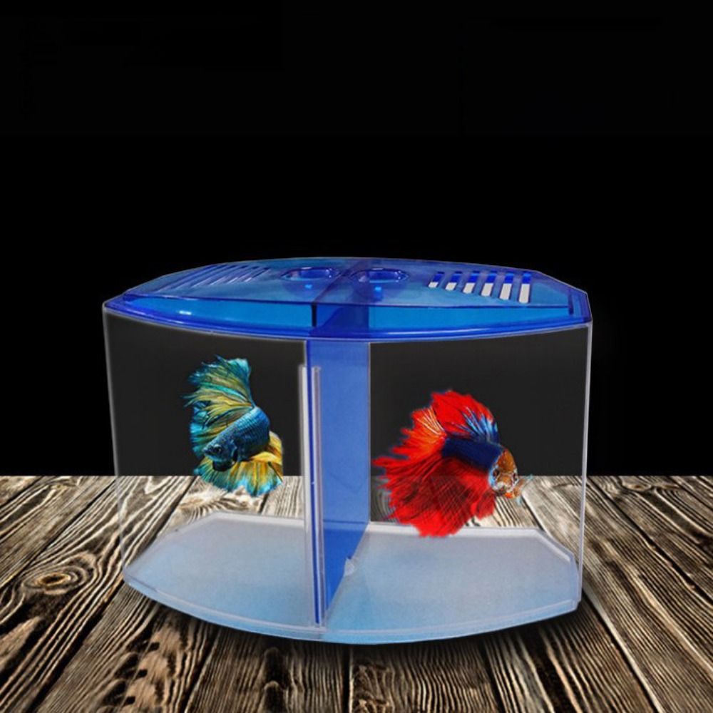Transparent Betta Fish Tank, D - đánh giá và giá Aquarium Fish Betta