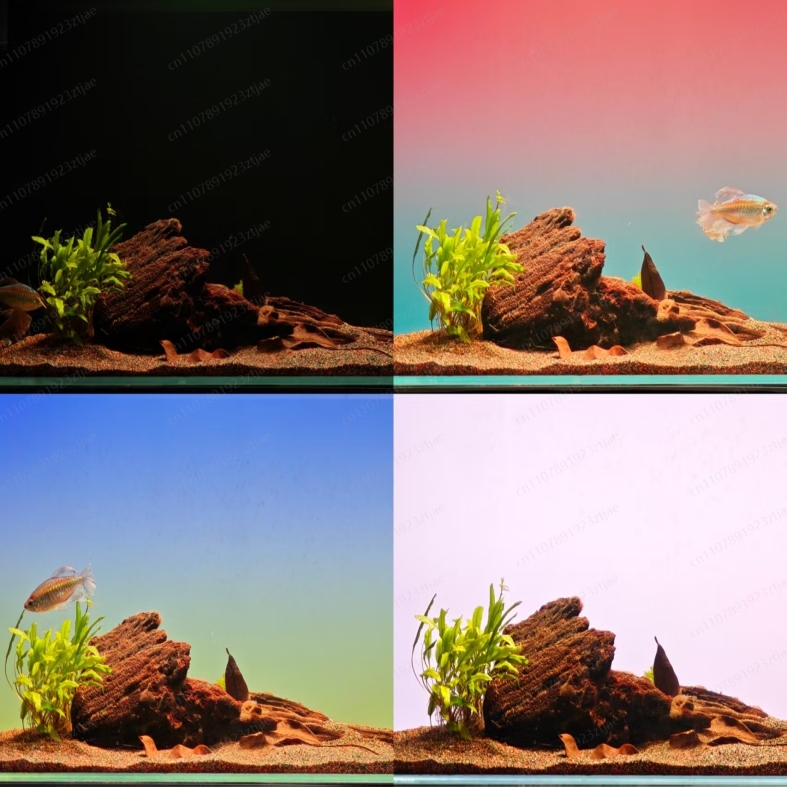 Black Acrylic Aquarium Backgro - đánh giá và giá Aquarium Light
