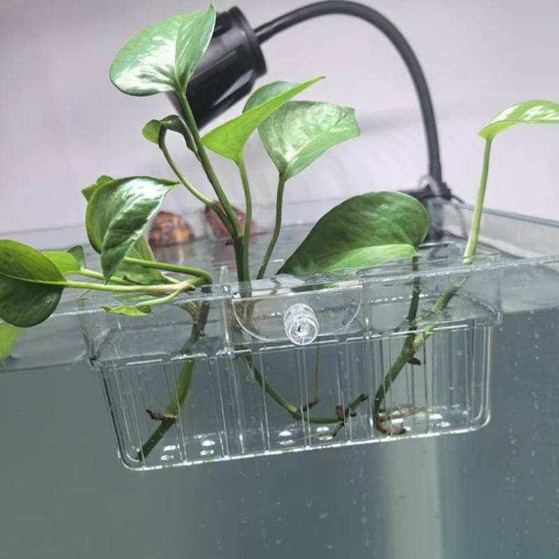 Hydroponic Plant Basket Food G - đánh giá và giá Aquarium Plants