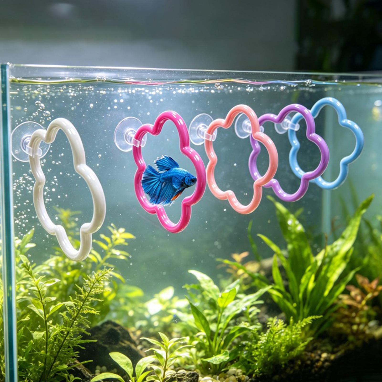 Betta Fish Toys 5 Pieces Color - đánh giá và giá Aquarium Fish Betta