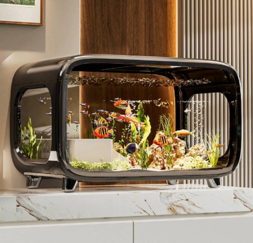 Creative Transparent Ecologica - đánh giá và giá Fish Aquarium Home