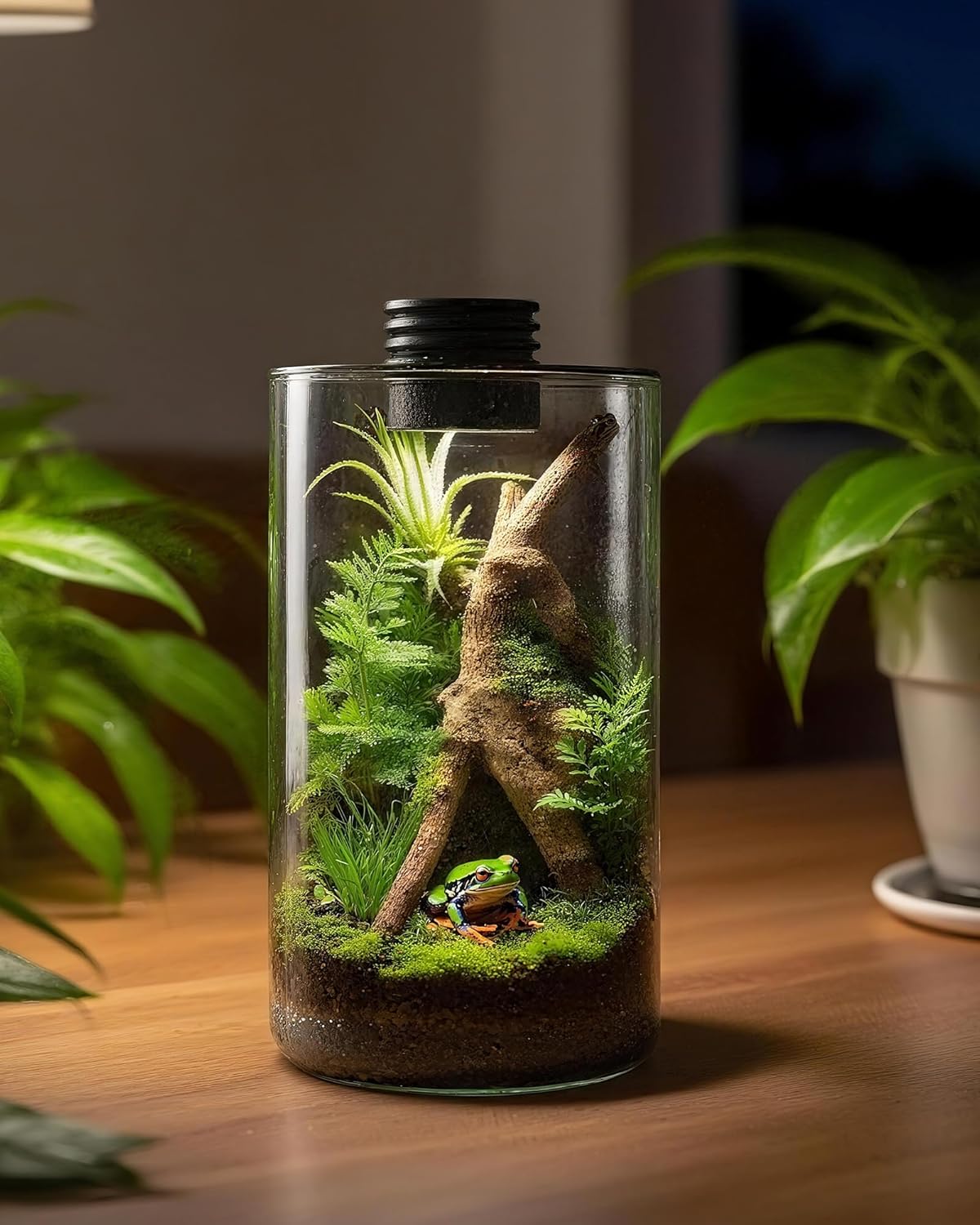 Indoor Glass Terrarium with Gr - đánh giá và giá Betta Fish Tank