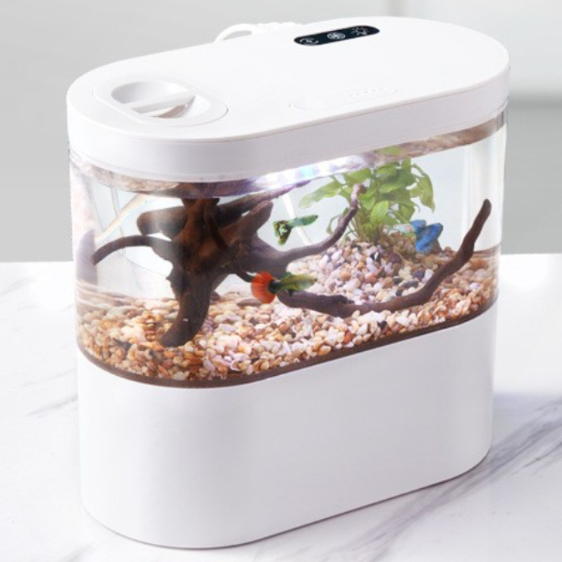 Creative Mini Desktop Fish Tan - đánh giá và giá Aquarium Fish Betta