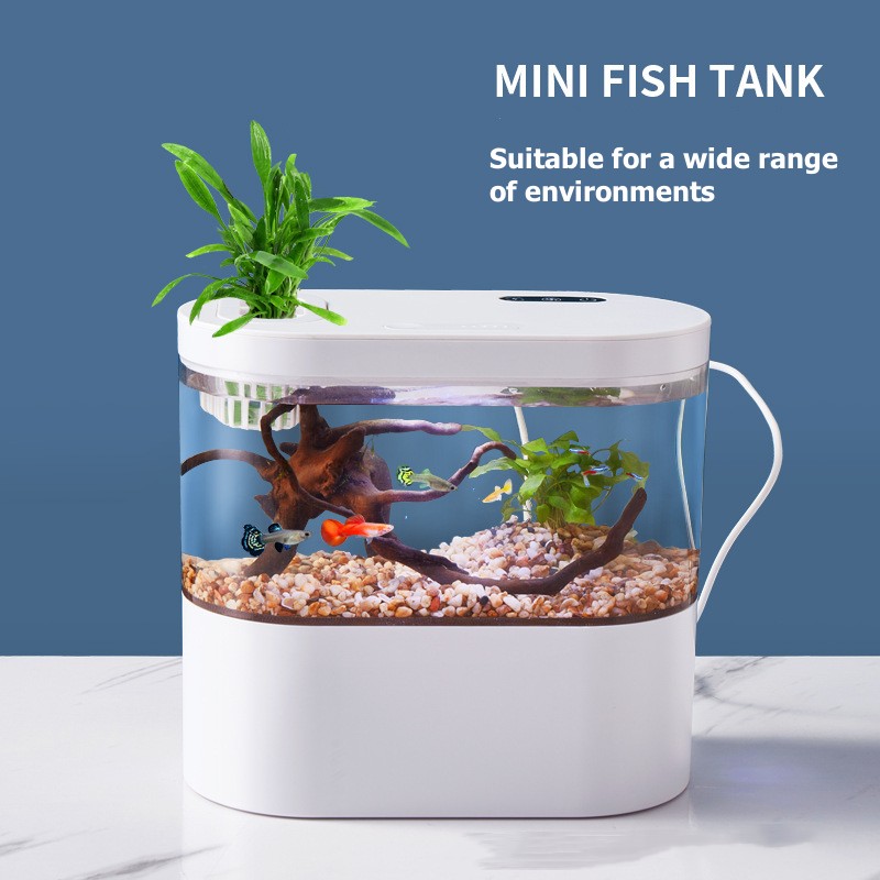 Creative Mini Desktop Fish Tan - đánh giá và giá Aquarium Fish Betta
