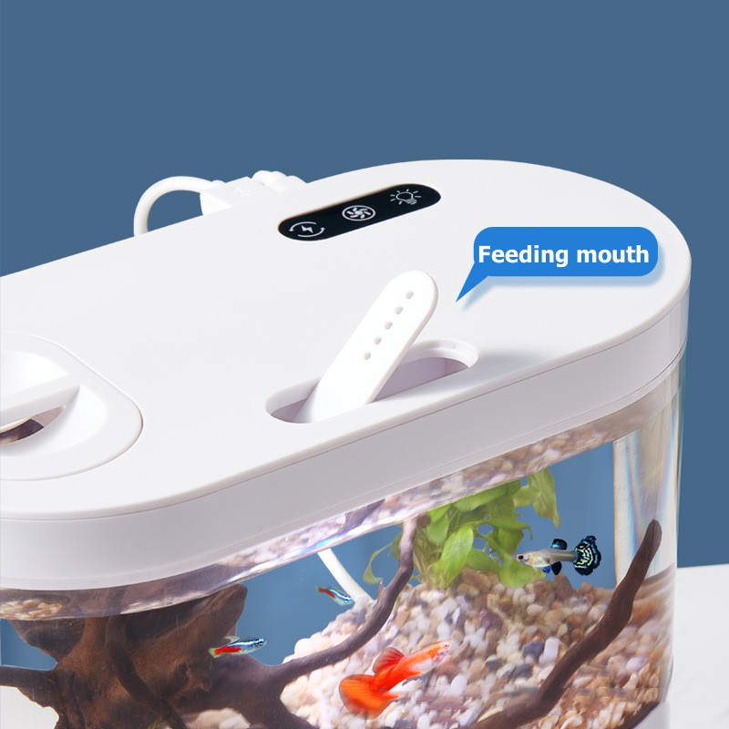 Creative Mini Desktop Fish Tan - đánh giá và giá Aquarium Fish Betta