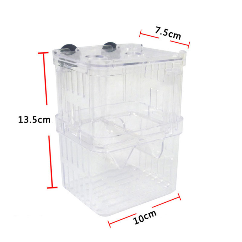 Peacock Fish Breeding Isolatio - đánh giá và giá Aquarium Fish Betta